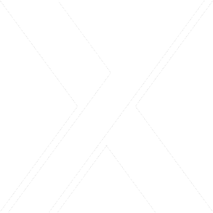 twitter icon